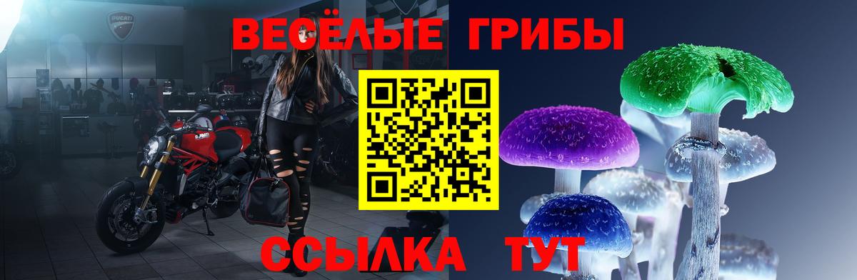 Псилоцибиновые грибы GOLDEN TEACHER Новодвинск