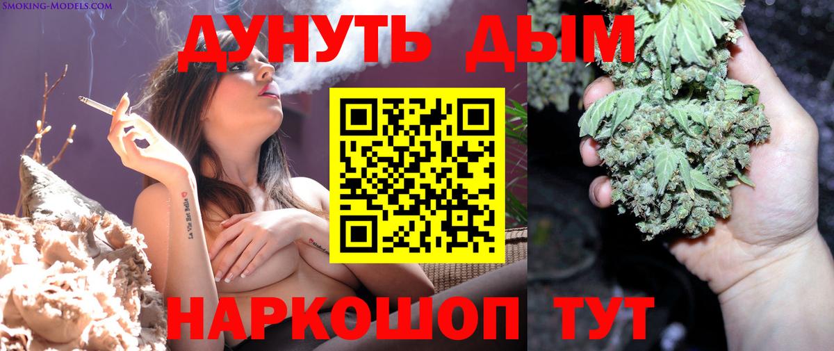 Каннабис сатива  Вход с VPN  Бошки Шишки планчик  Новодвинск 